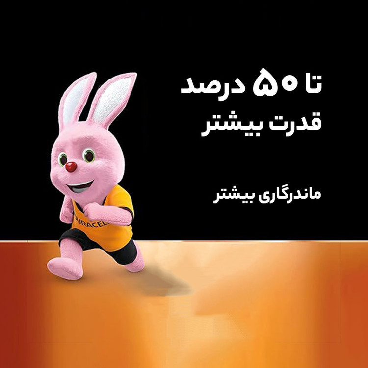 باتری قلمی آلکلاین دوراسل بسته 2 عددی